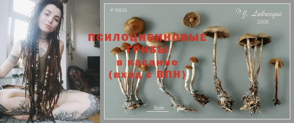 прущая мука Абаза