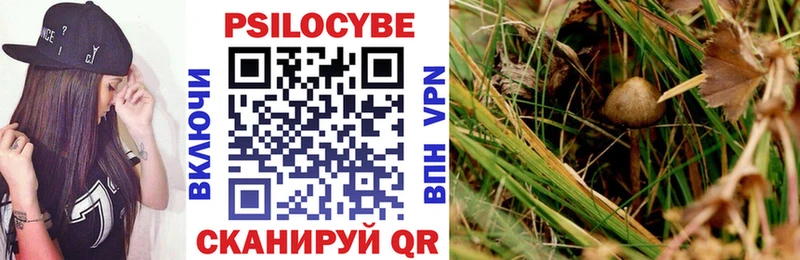 купить наркотик  Иноземцево  Галлюциногенные грибы ЛСД 